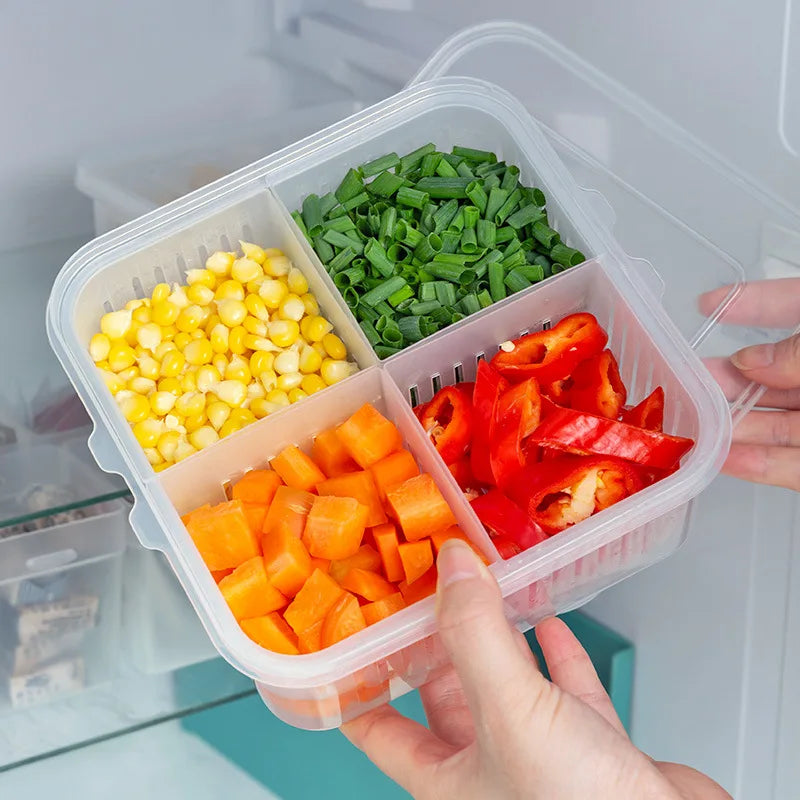 Organizador de Geladeira com Divisórias