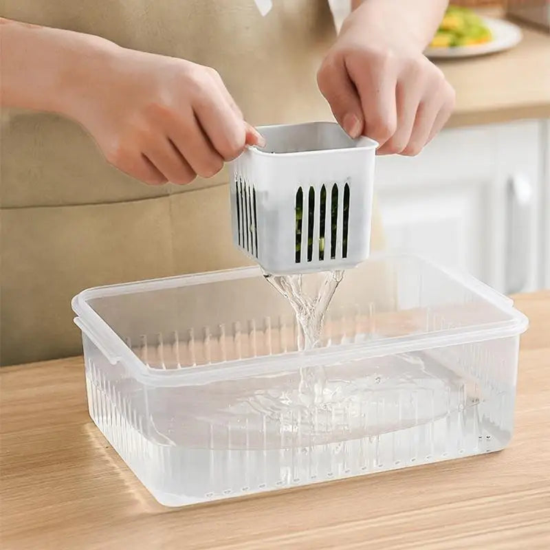 Organizador de Geladeira com Divisórias